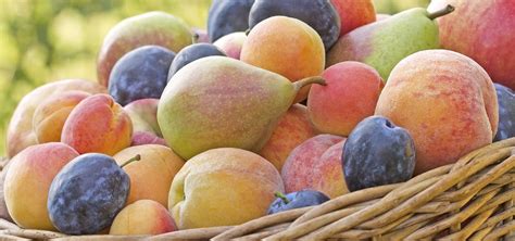  Each Peach Pear Plum: A Celebration of Nature's Bounty and Ancient Farming Traditions