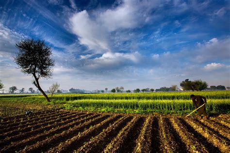  Innovative Farming: A Masterpiece of Pakistani Agricultural Thought